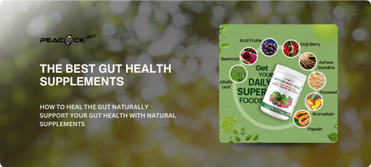 gut health supplements