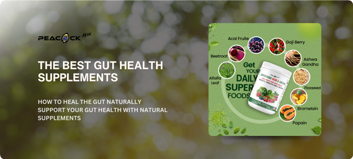 gut health supplements
