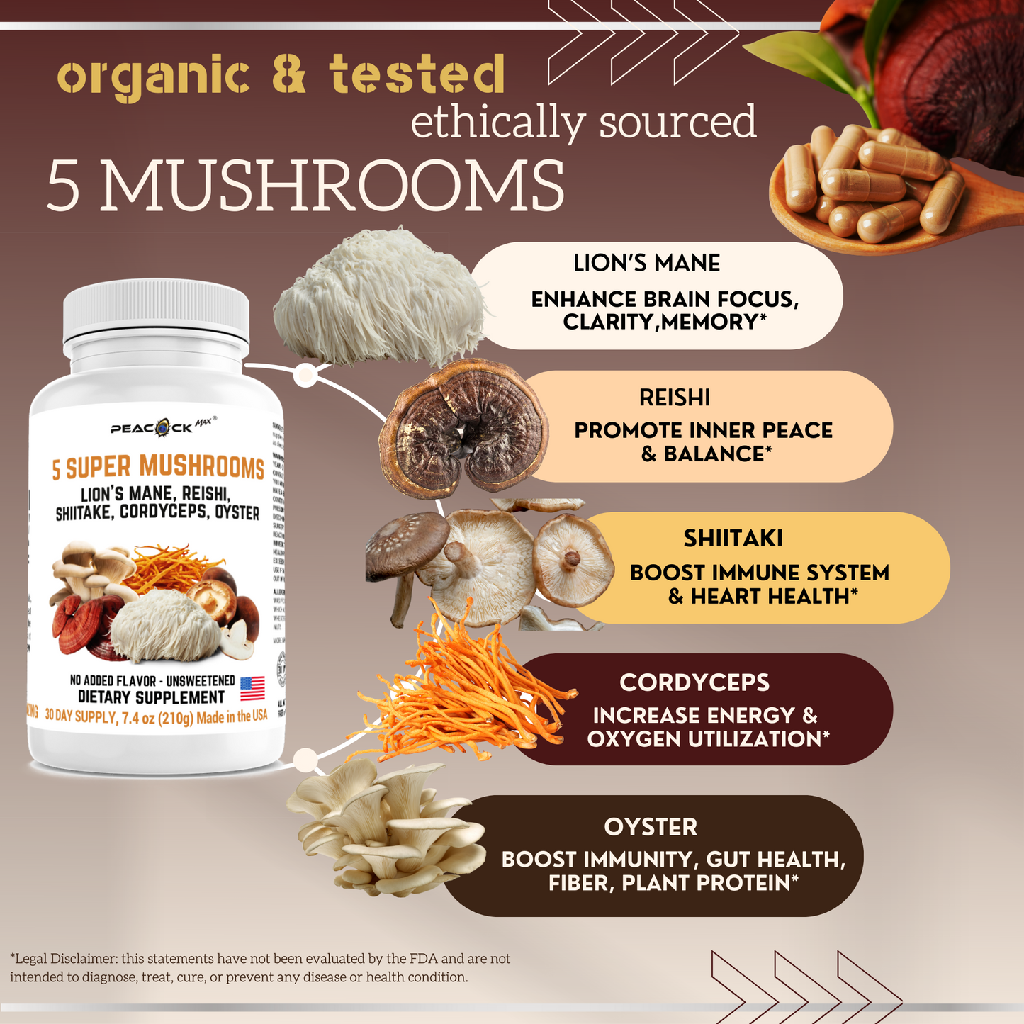 5 Super Mushrooms Lion's Mane, Reishi, Shiitake, Cordyceps, Oyster Extract | Brain, Energy, Focus | 180 Capsules | 3000mg | 30 day supply