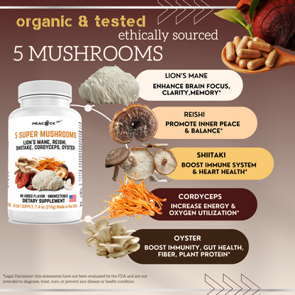 5 Super Mushrooms Lion's Mane, Reishi, Shiitake, Cordyceps, Oyster Extract | Brain, Energy, Focus | 180 Capsules | 3000mg | 30 day supply